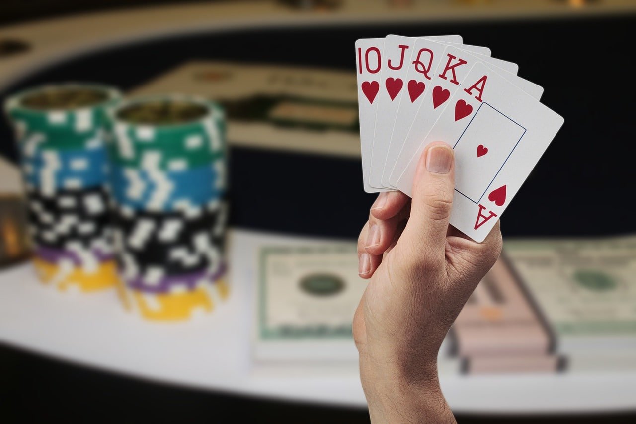 state casino Mobile app experience
